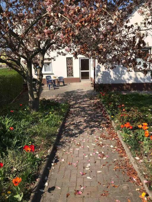 Auf Dem Land Und Doch Ganz Nah Apartment Krolpa Luaran gambar